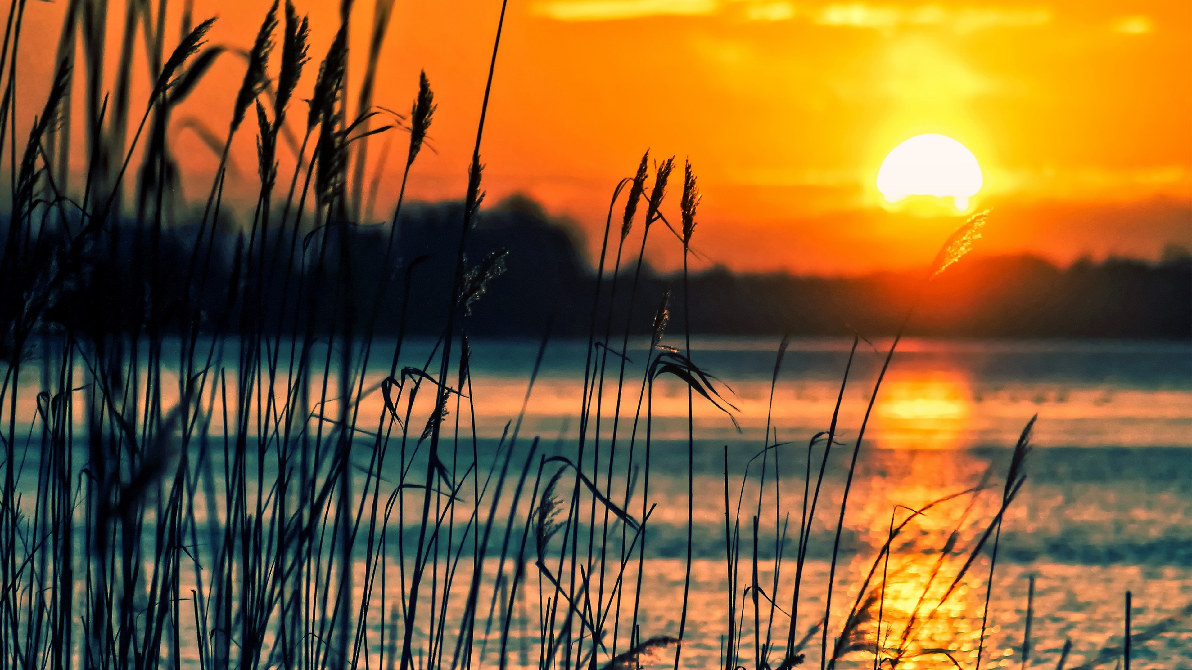 Crops Sunset Lake 4k sunset wallpapers, nature wallpapers, lake