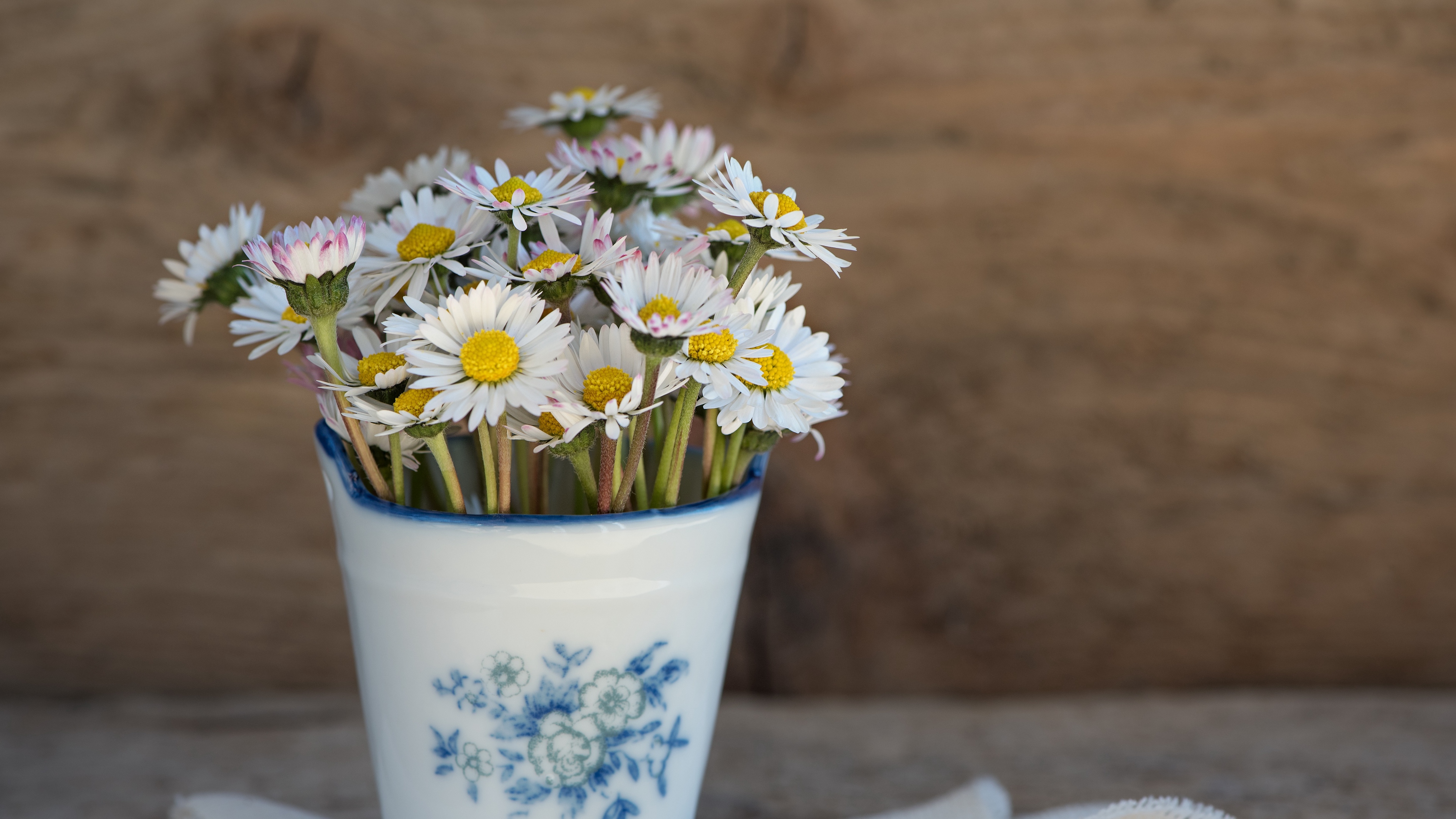 daisies vase napkin 4k 1540064729