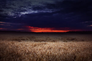 dark field covered by clouds sunset 4k 1540143386