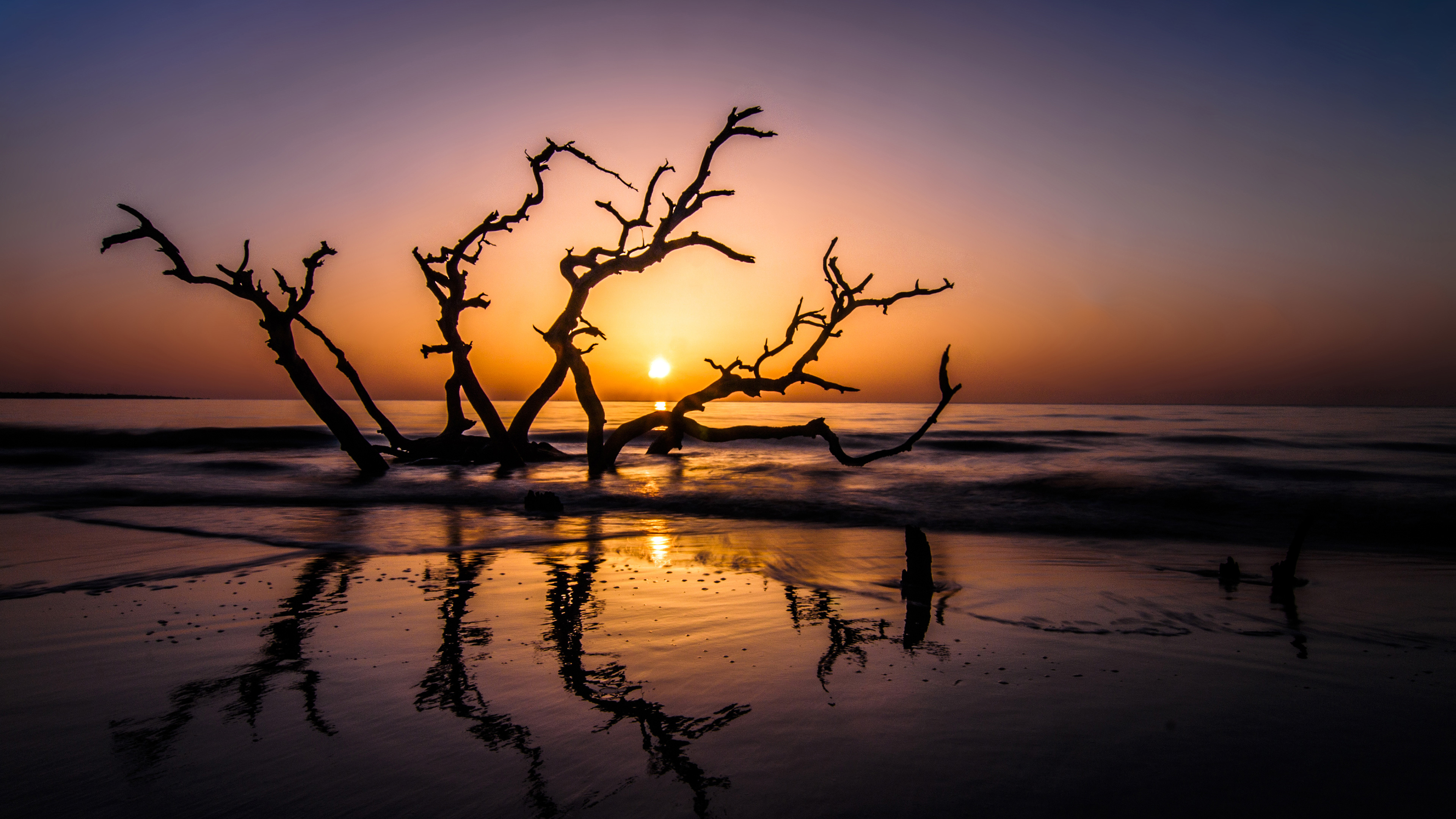 driftwood beach 4k 1540131999