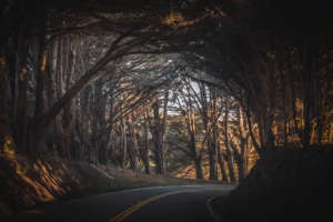 fall road trees landscape 4k 1540134664