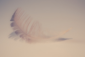 feather soft 4k 1540750324