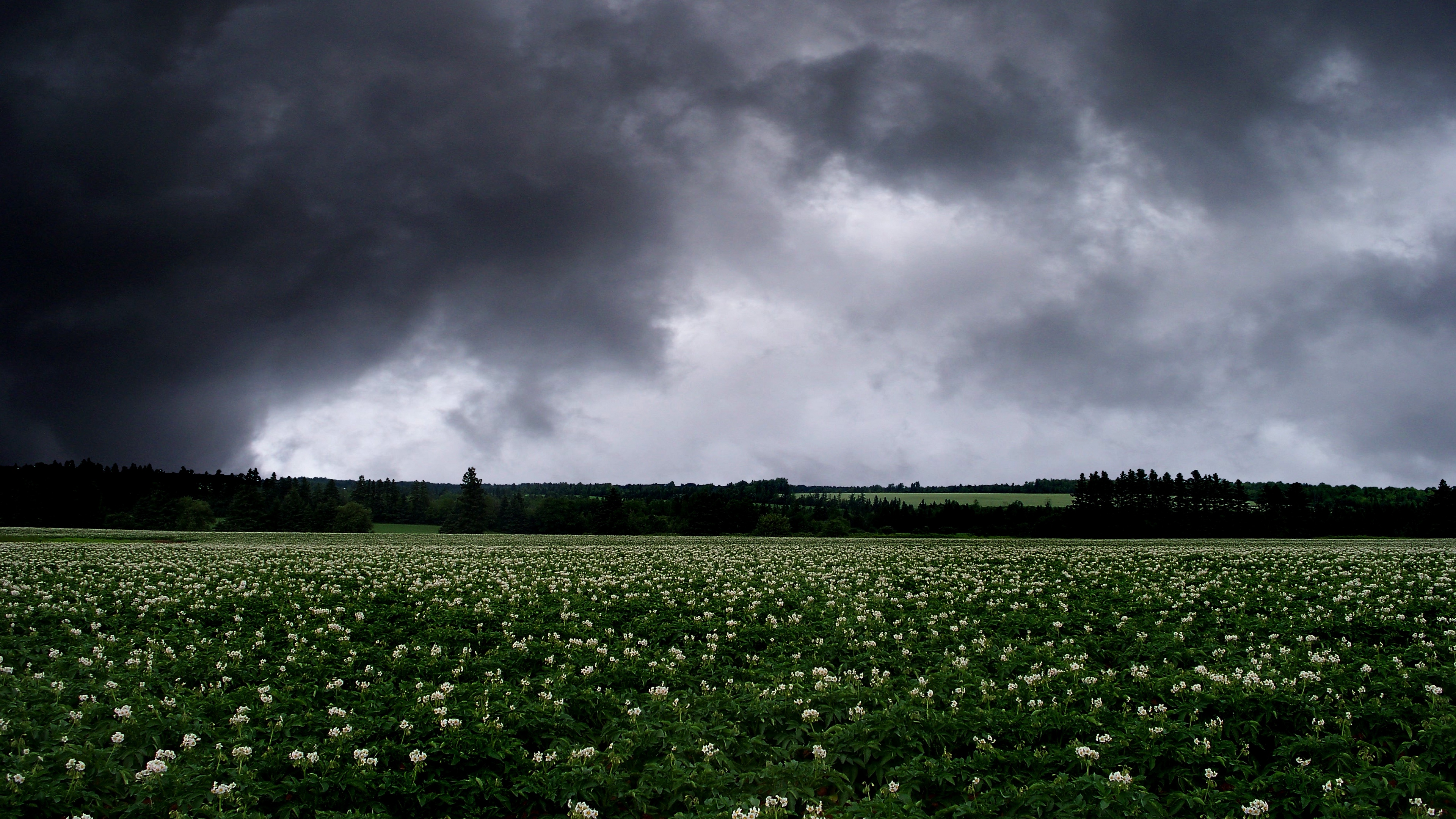 field clouds landscape 4k 1540146073