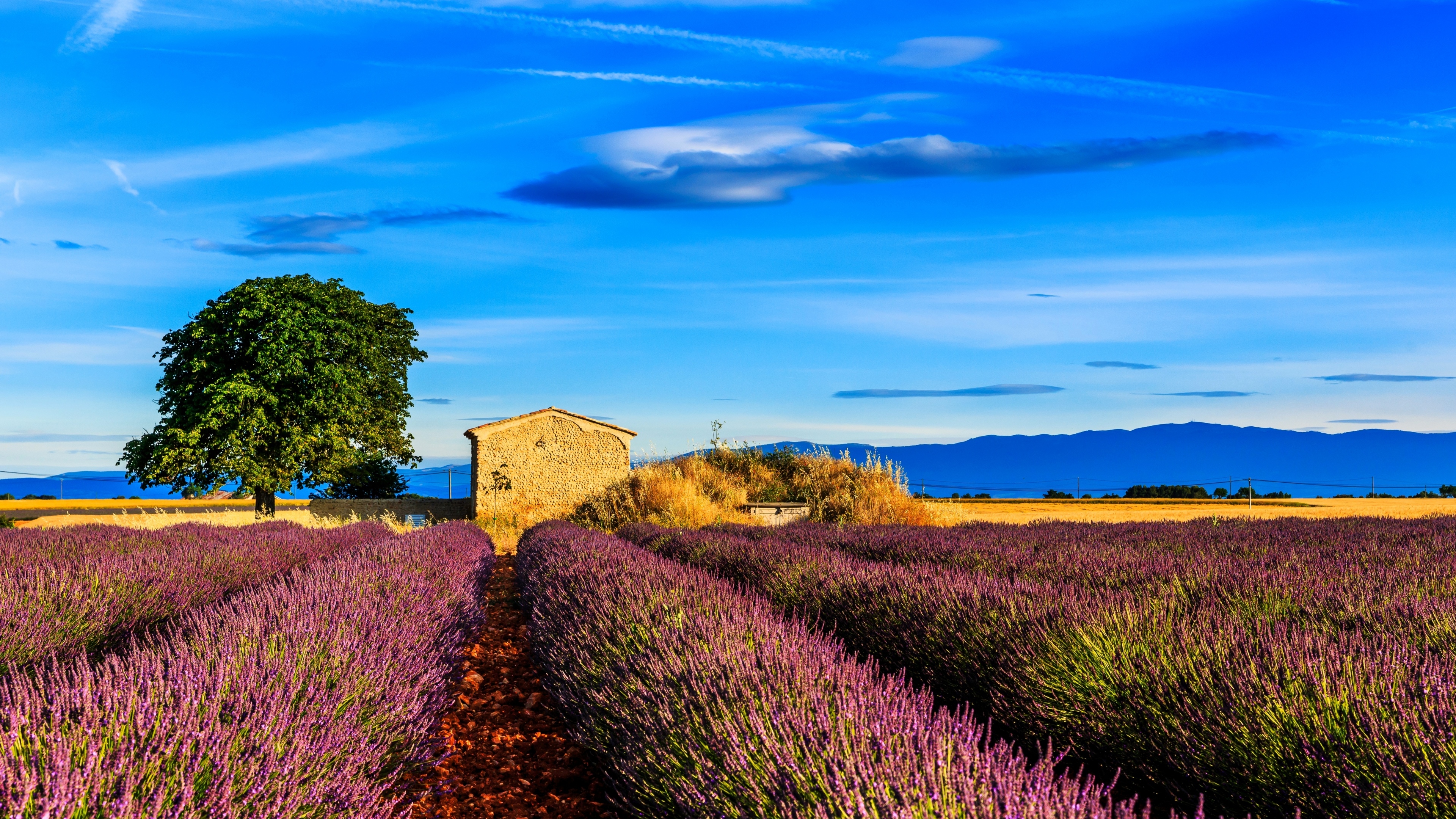 fields nature 4k 1540131485