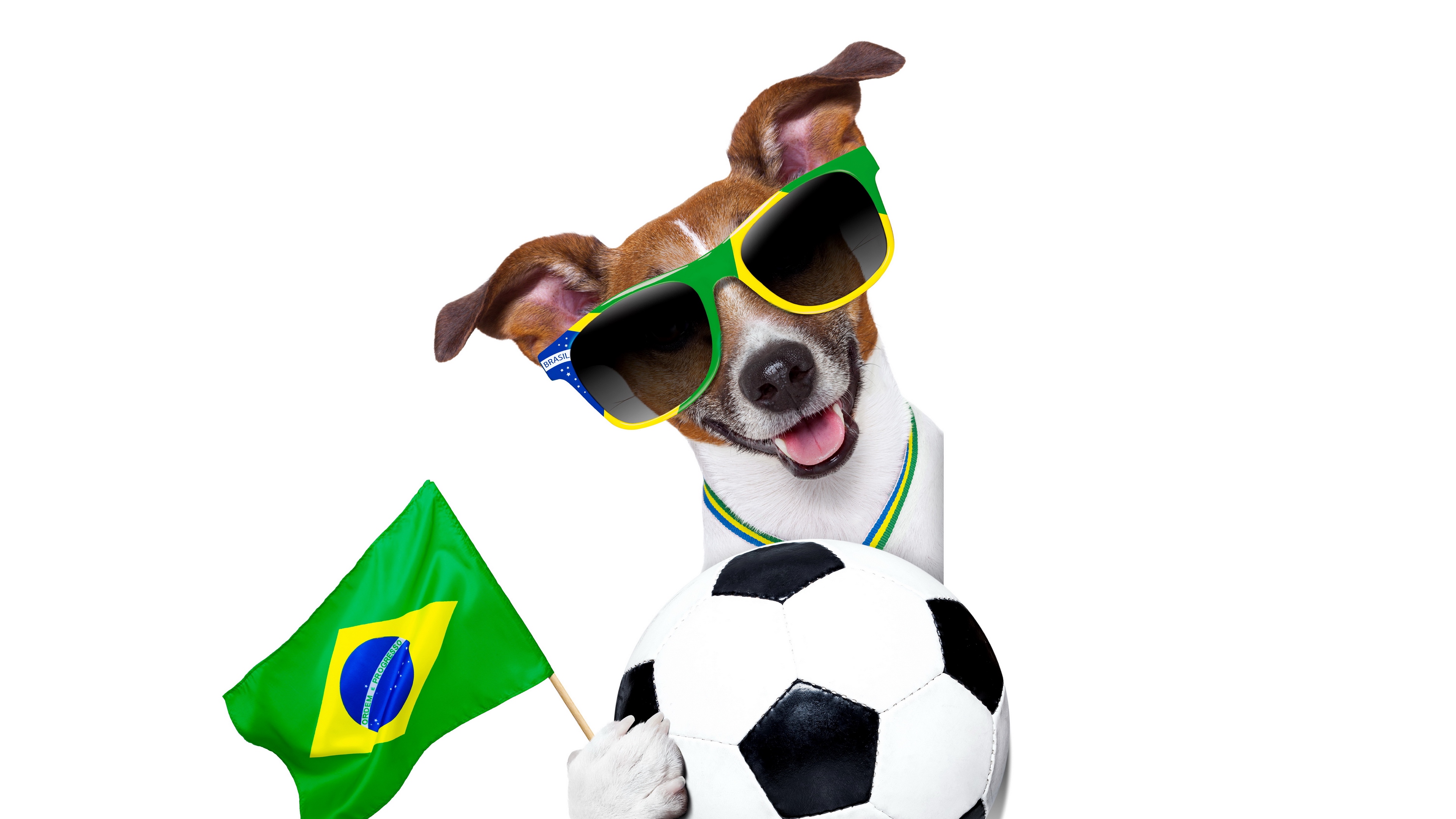 fifa world cup brazil 2014 dog ball 4k 1540062989