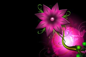 flower light leaf circle background 4k 1539369641