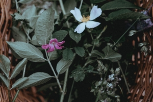 flowers basket leaves 4k 1540064430