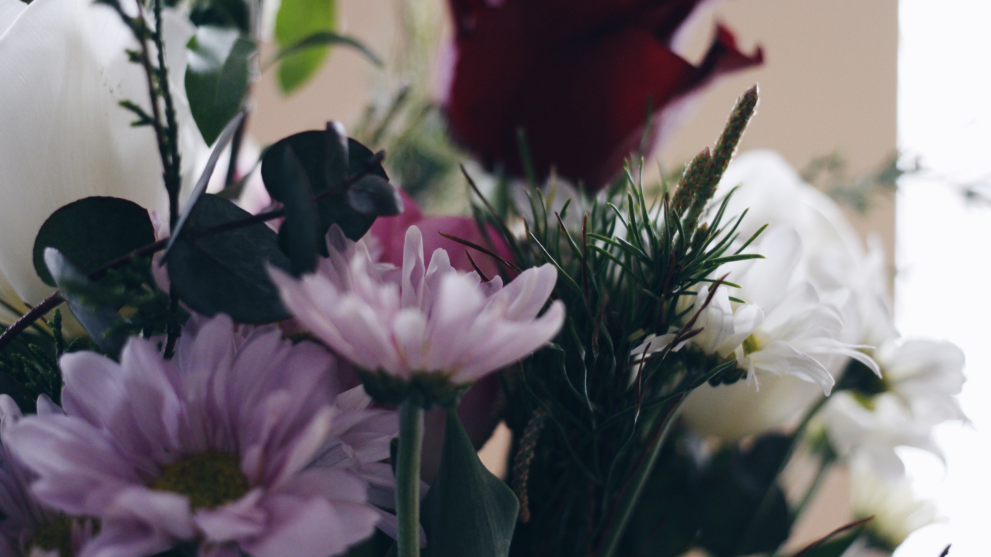 flowers bouquet composition 4k 1540064375