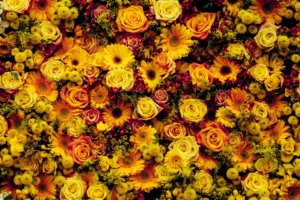 flowers composition floral carpet 4k 1540064910