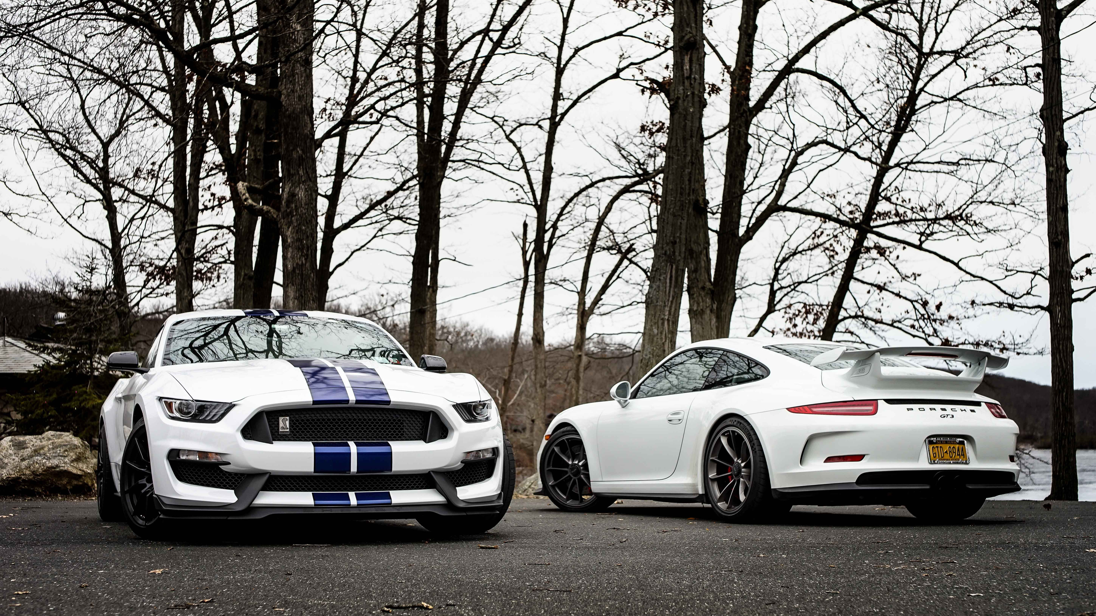 ford mustang gt350 and porsche gt3 1539111747