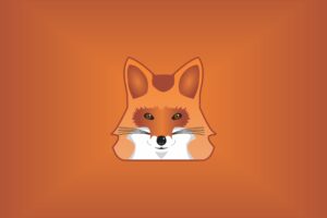 fox minimalist 5k 1540754268