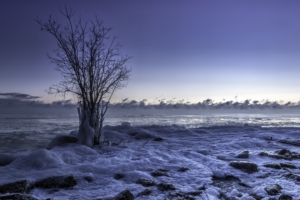 frozen winter snow landscape 4k 1540142470