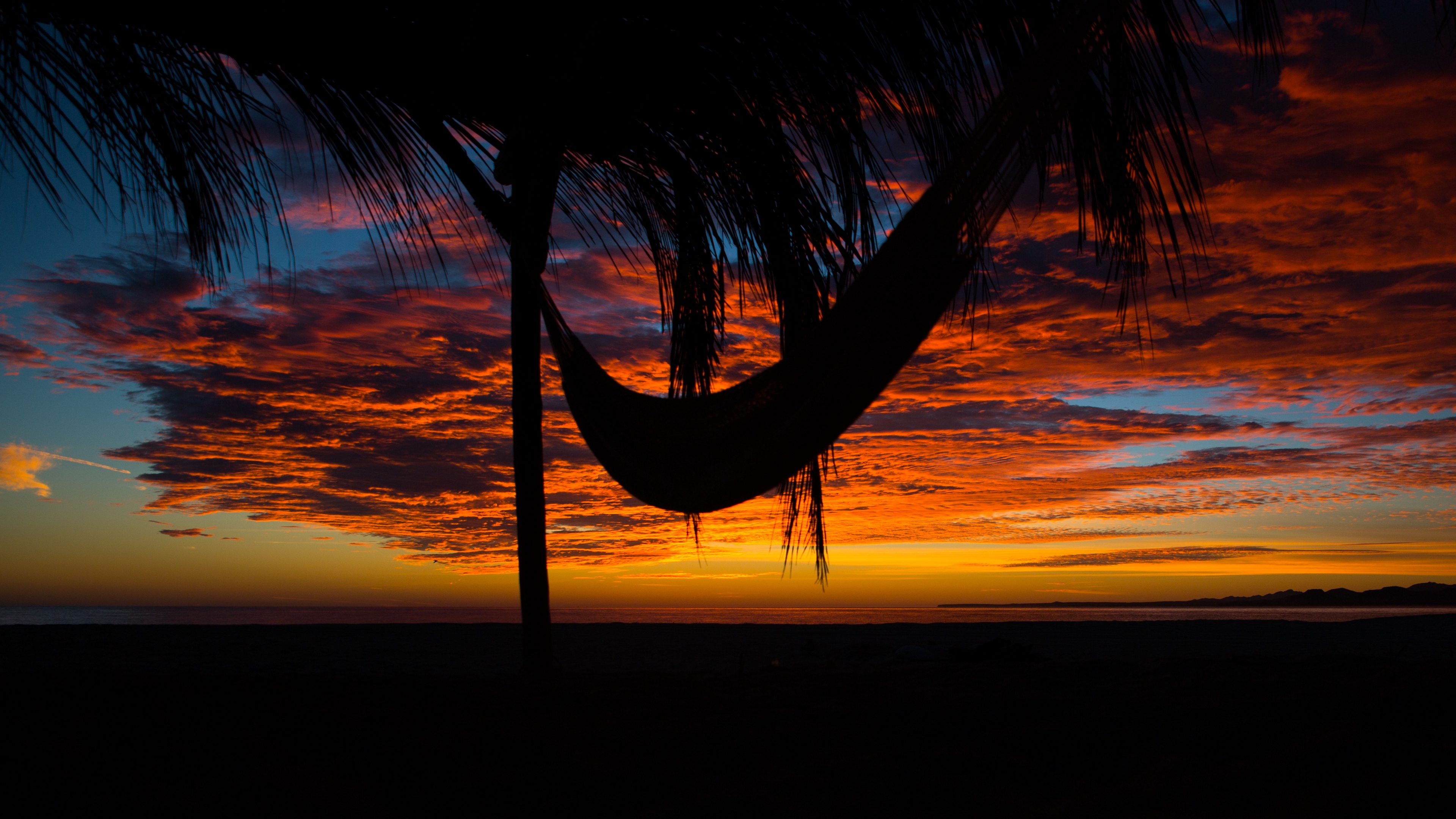 hammock palm tree sunset clouds 4k 1540576121