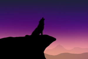 howling wolf minimalism 4k 1540755062