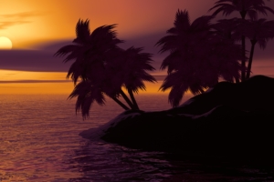 island palm sunset sky 4k 1540134117