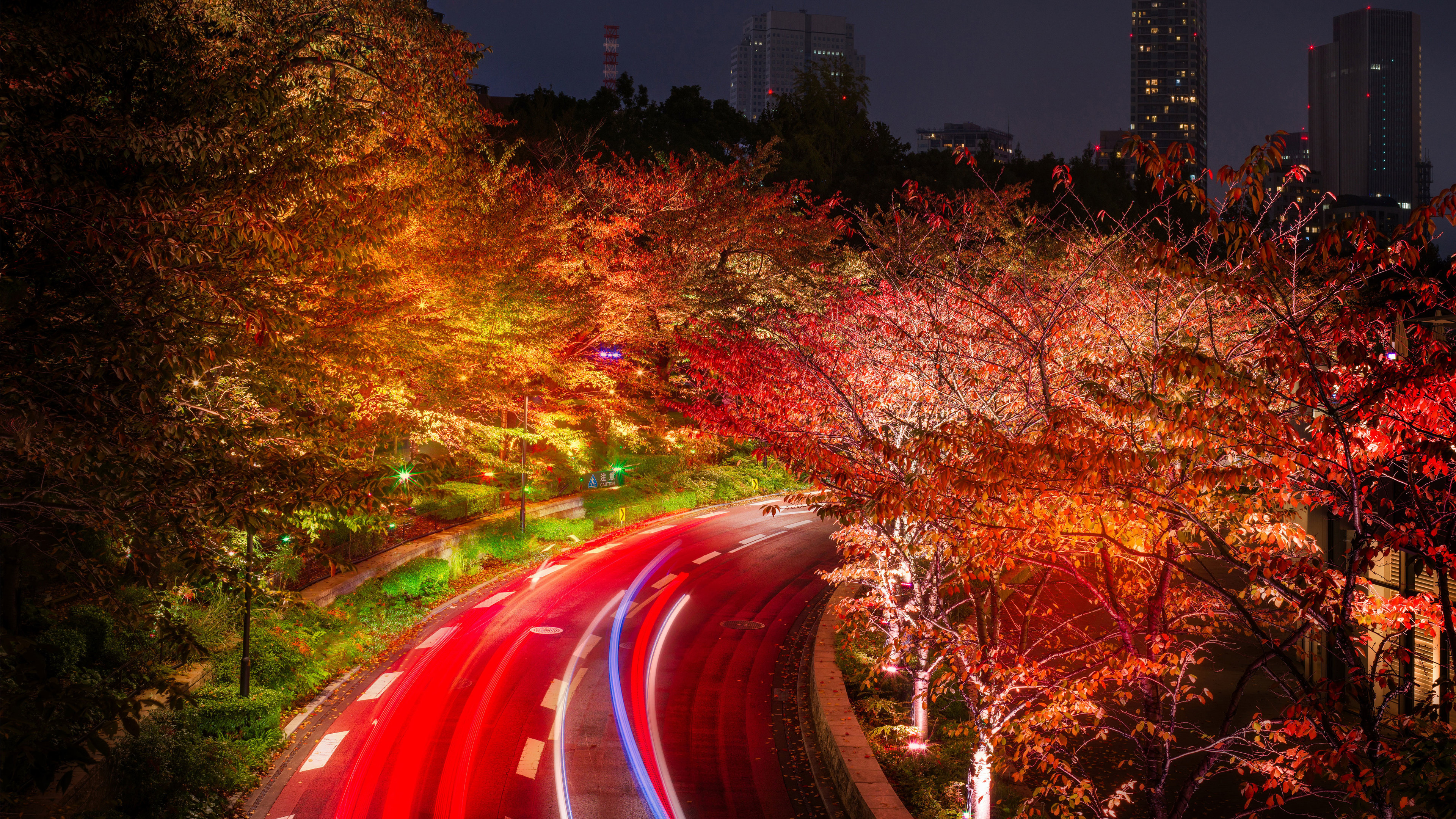 japan tokyo roads autumn trees night 4k 1540135740