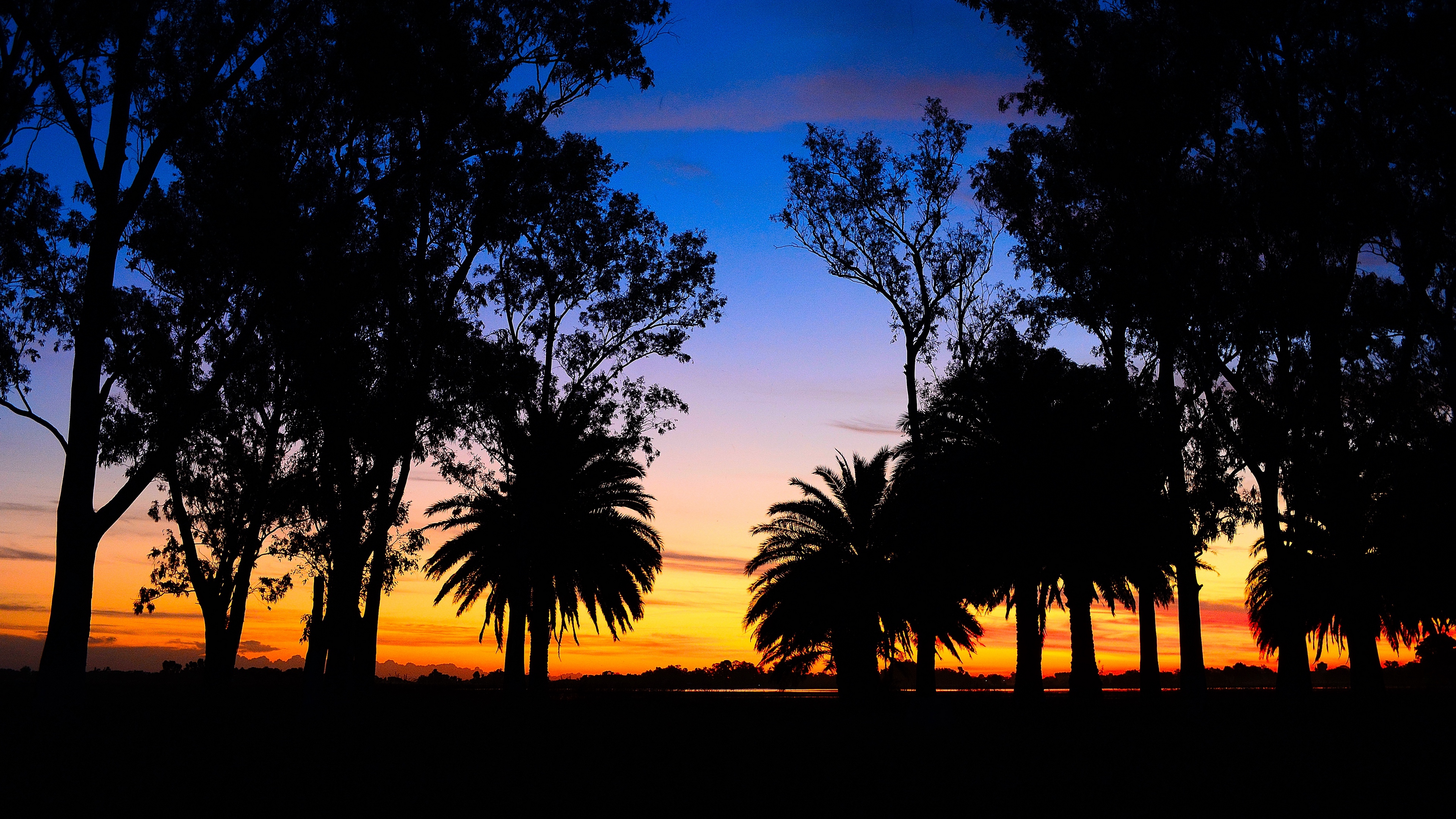 lagoon palm trees landscape sunset 4k 1540576248