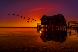 lake house on pier birds flying sunset scenery 4k 1540135096