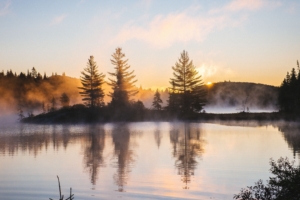 lake reflection morning mist trees nature hd 4k 1540142486