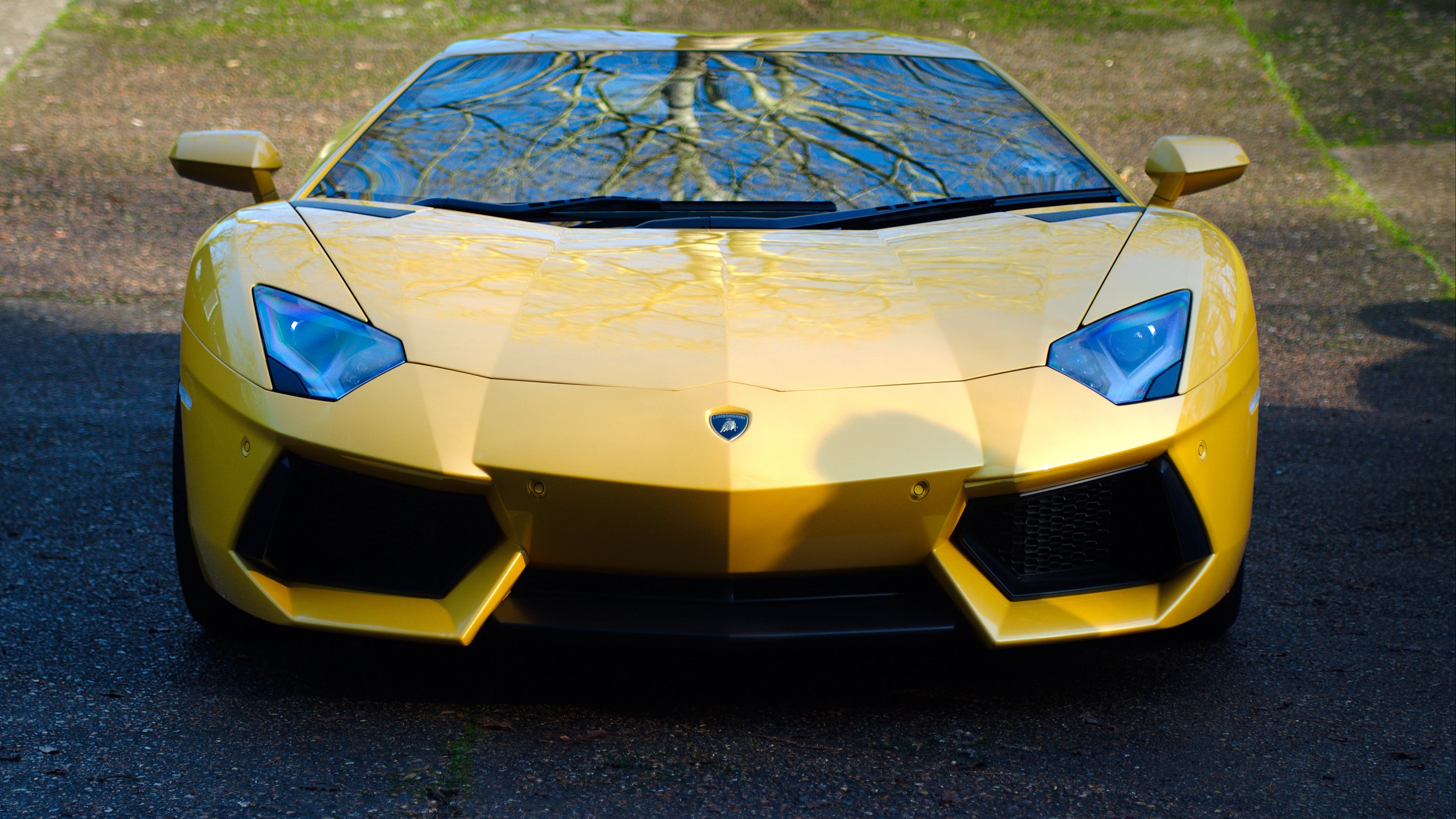 lamborghini aventador lp700 4 yellow car front view 4k 1538936349