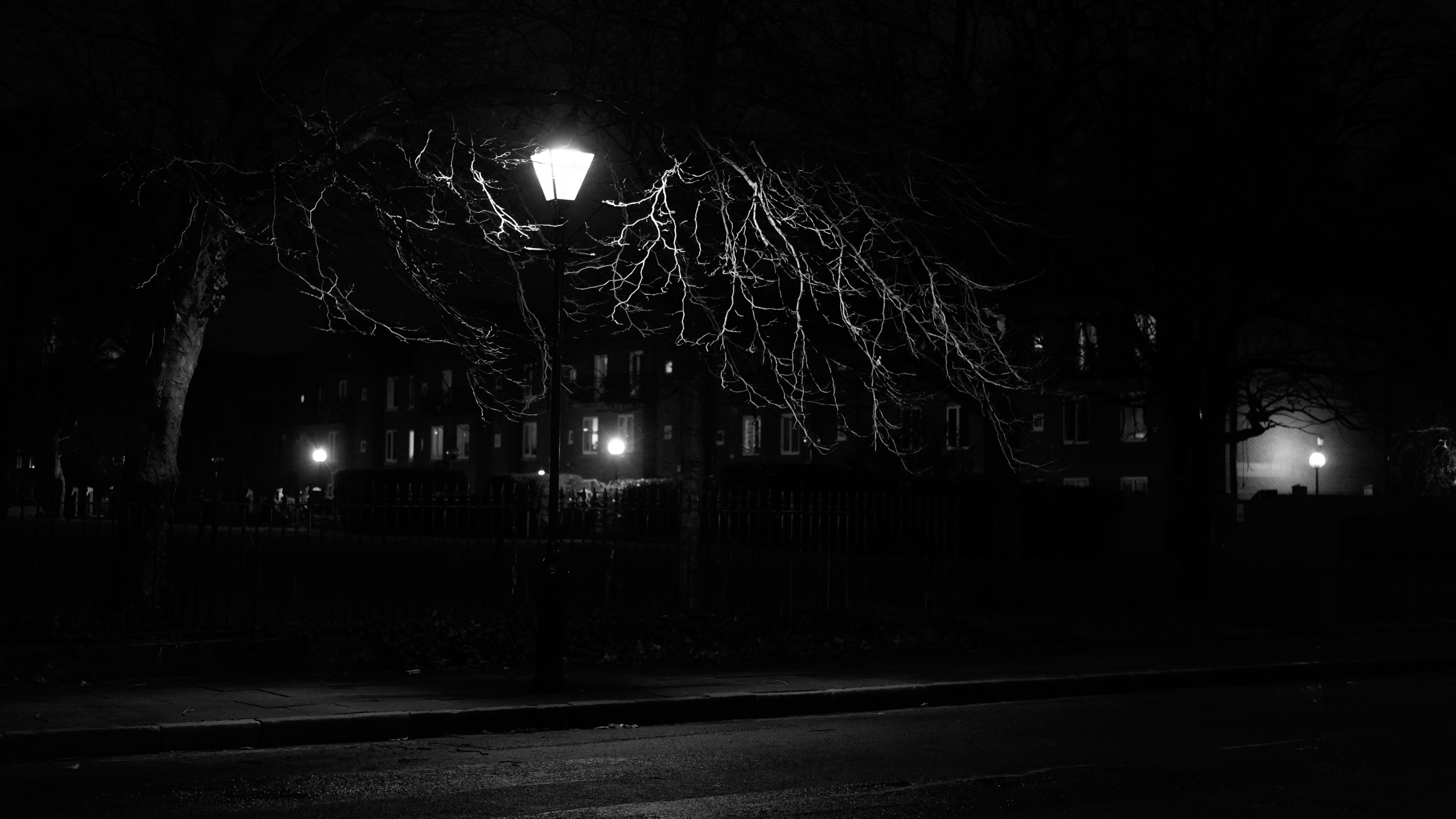 lantern night tree bw 4k 1540576066