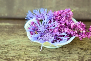 lilac cornflower flowers decoration 4k 1540064793