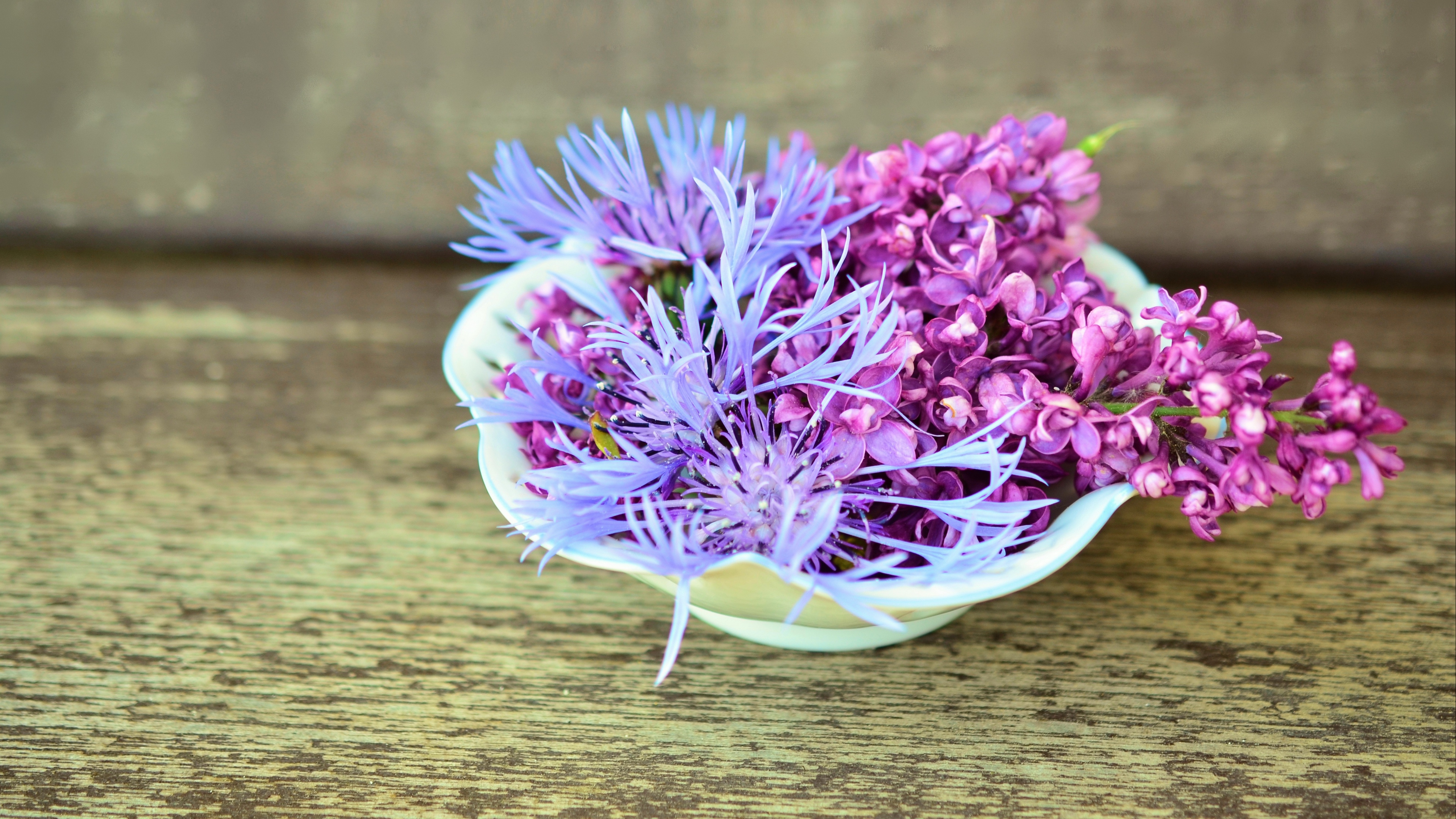 lilac cornflower flowers decoration 4k 1540064793