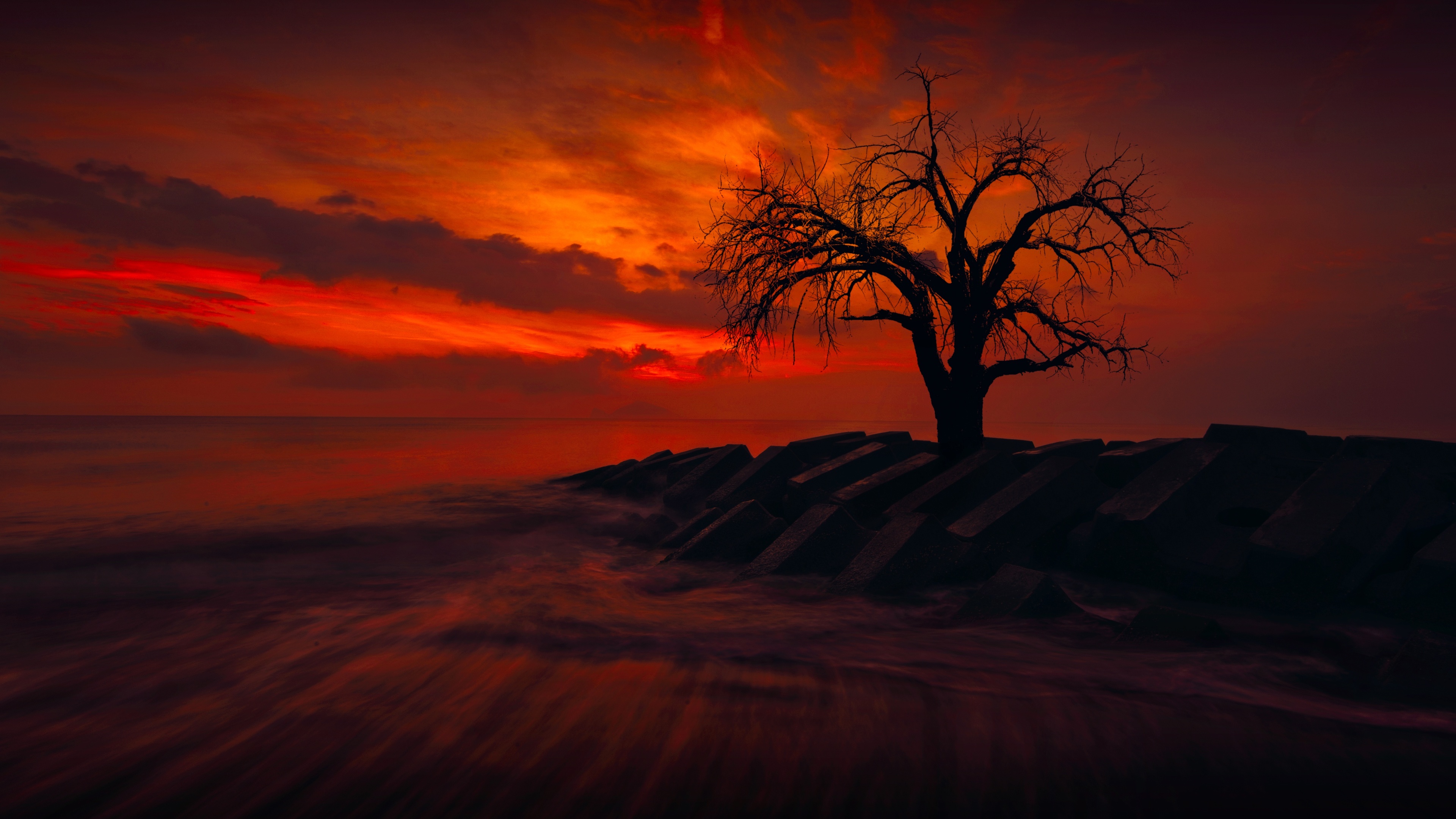 lonely tree 4k 1540132682