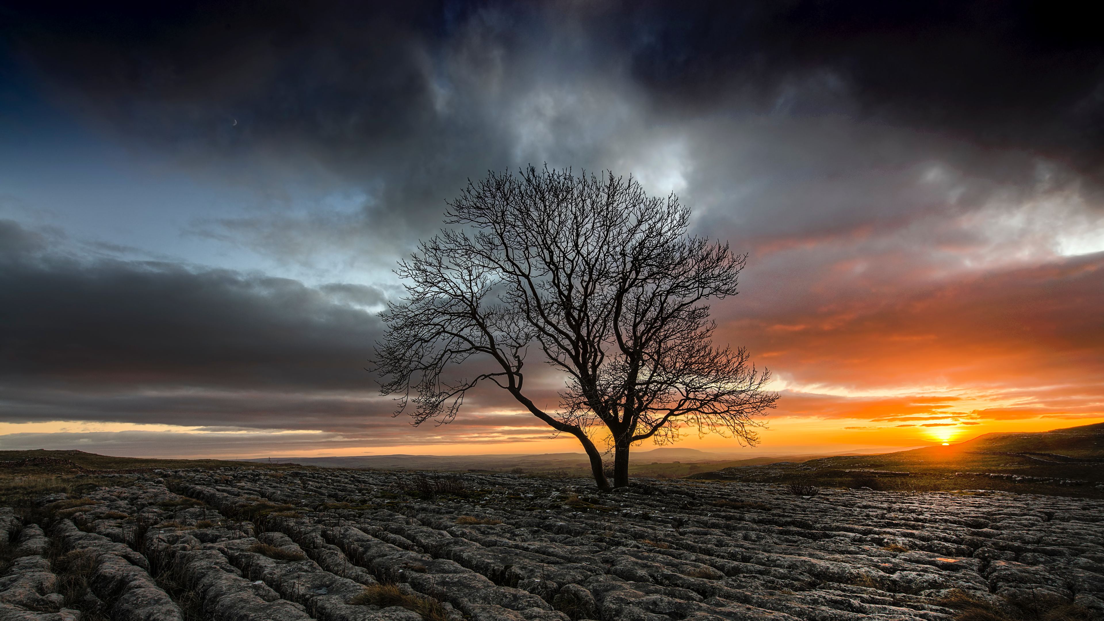 lonely tree in drought field sunset 1540141545