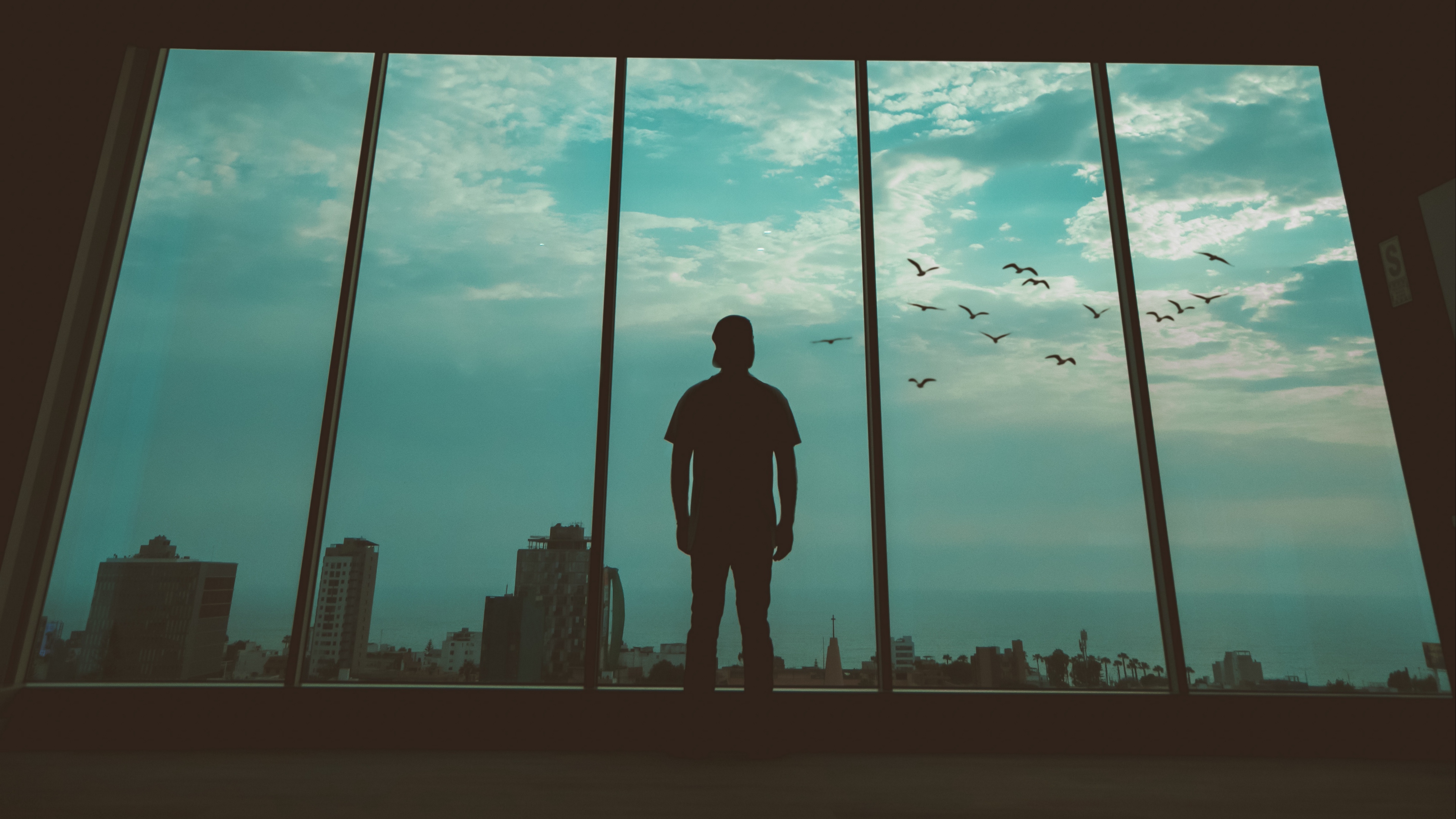 man silhouette window birds 4k 1540576413