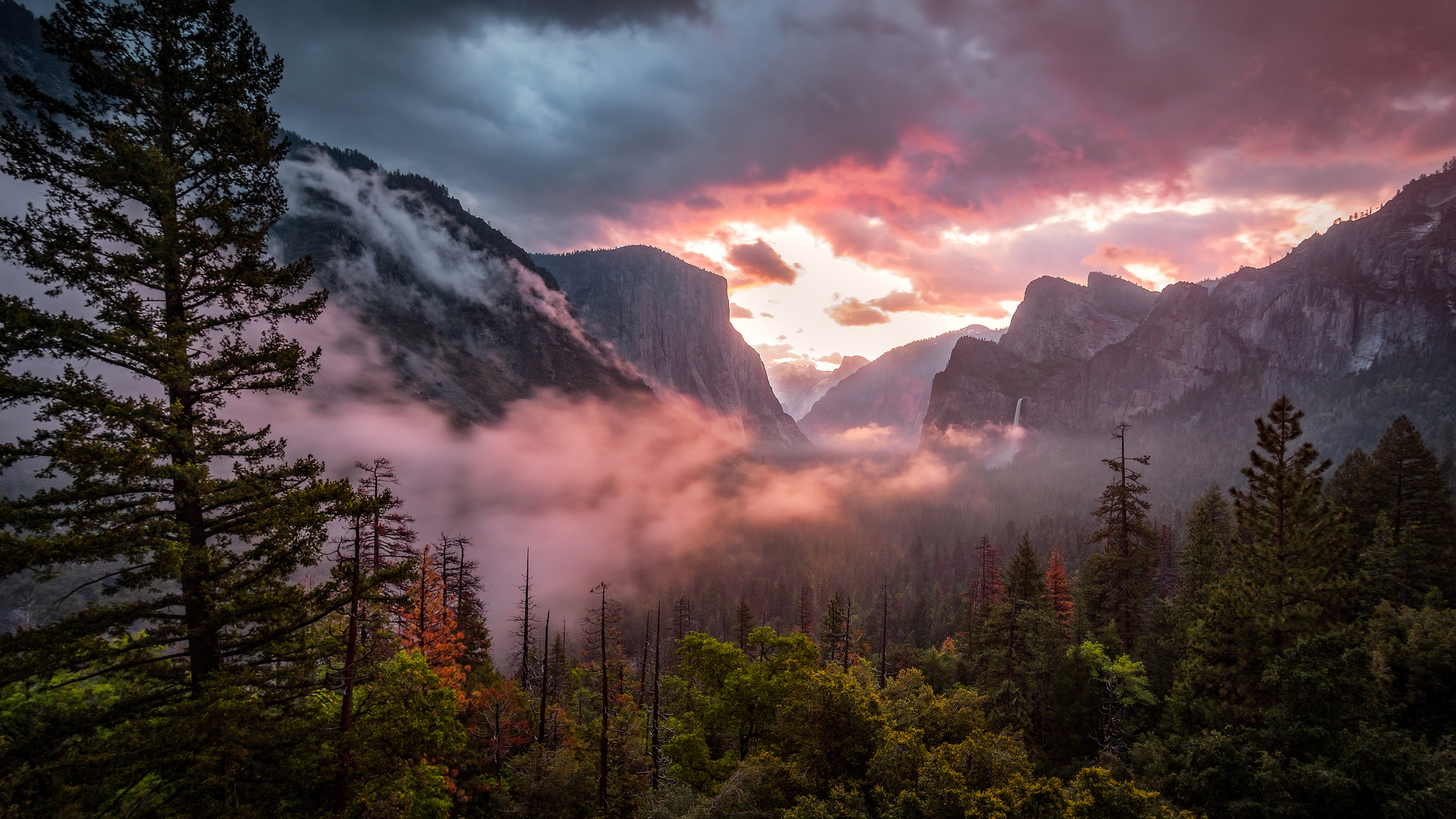 Wallpaper 4k Misty Yosemite 4k 4k Wallpapers Hd Wallpapers Mountains Wallpapers National Park Wallpapers Nature Wallpapers Sky Wallpapers Trees Wallpapers Yosemite Wallpapers