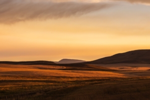 montana prairie montana plain evening light fuji color montana sunset 1540143638