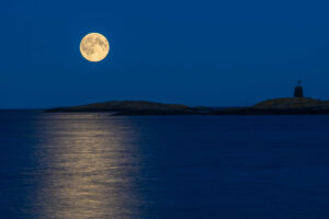 moonlight reflection in sea 4k 1540134332