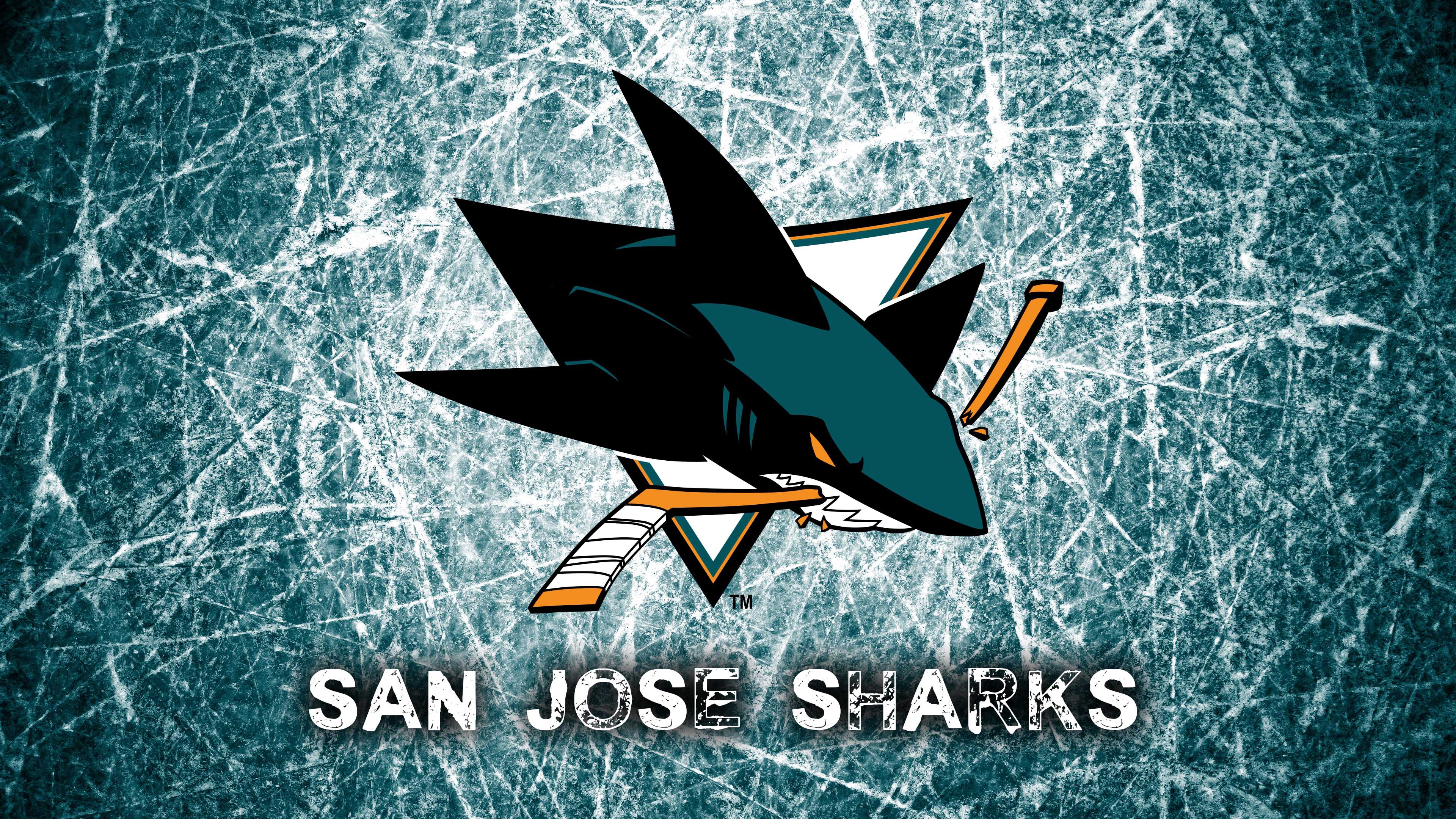 national hockey league san jose sharks logo 4k 1540062336