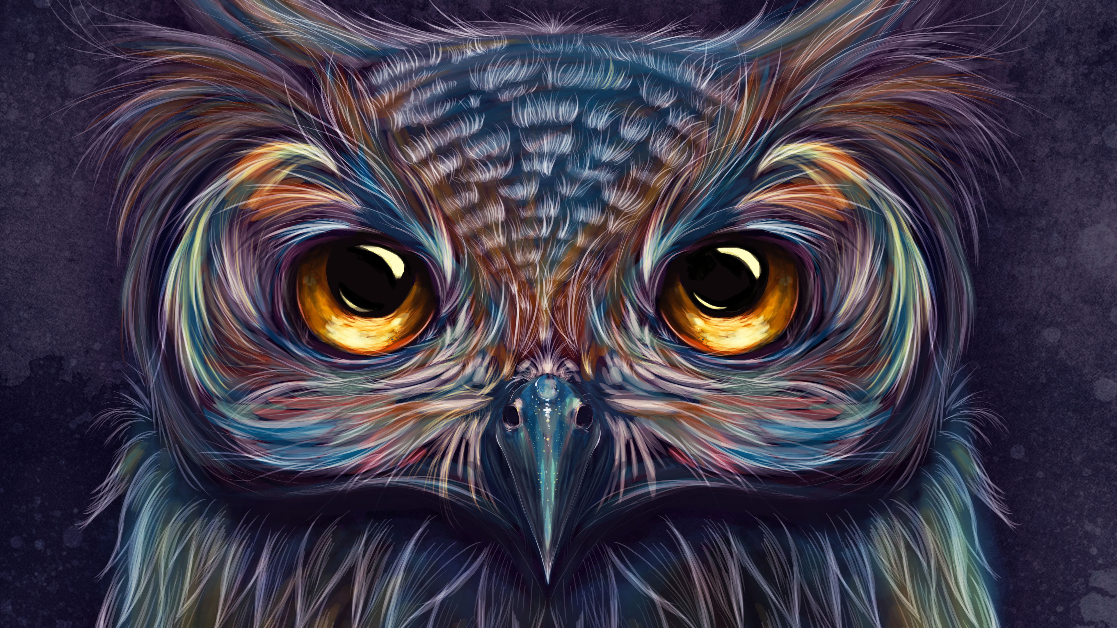 Owl Colorful Art 4k