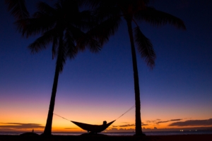 palms hammock night silhouettes rest tropics 4k 1540576226