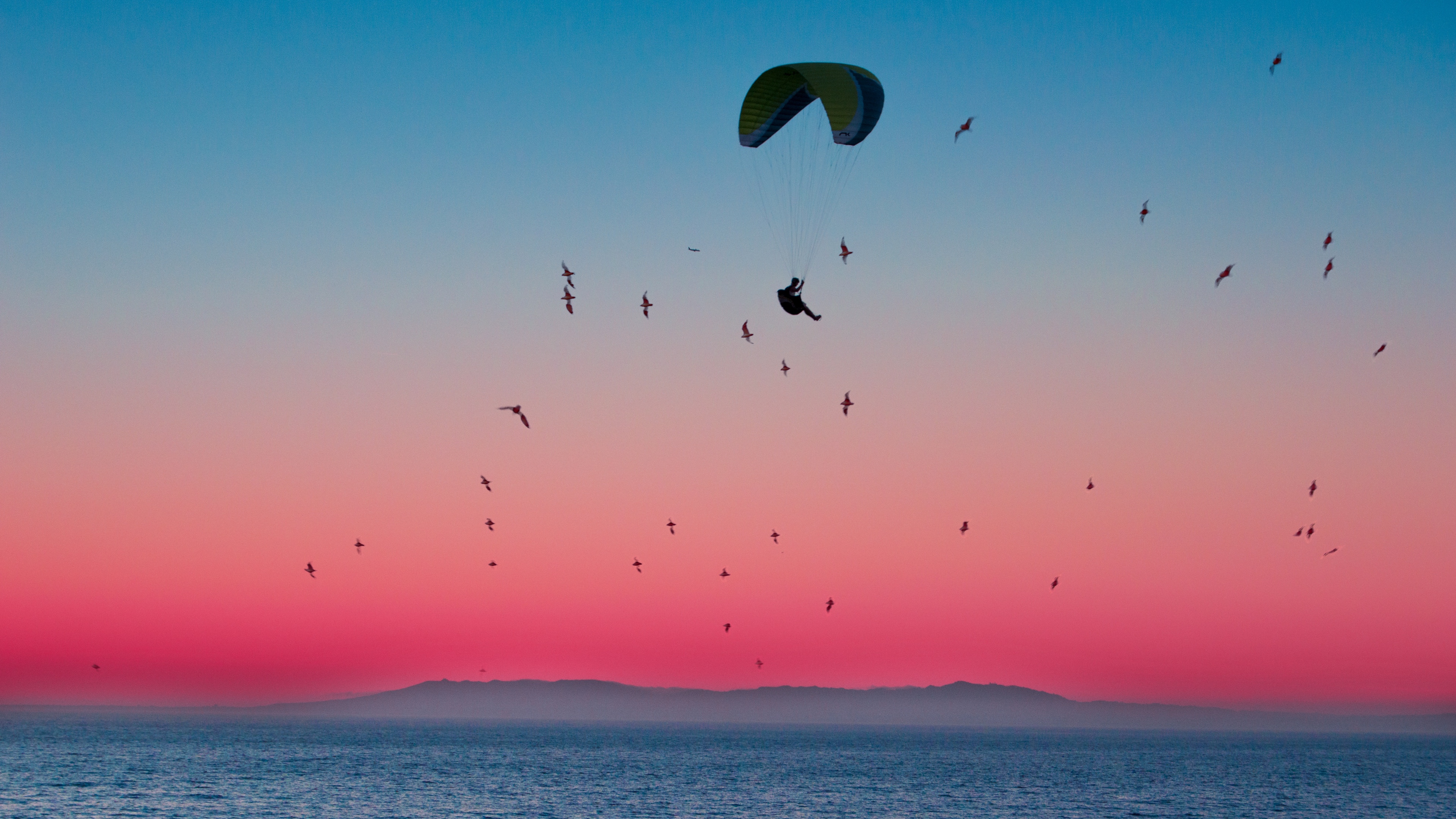 paragliding parachute sea flight birds horizon 4k 1540063429