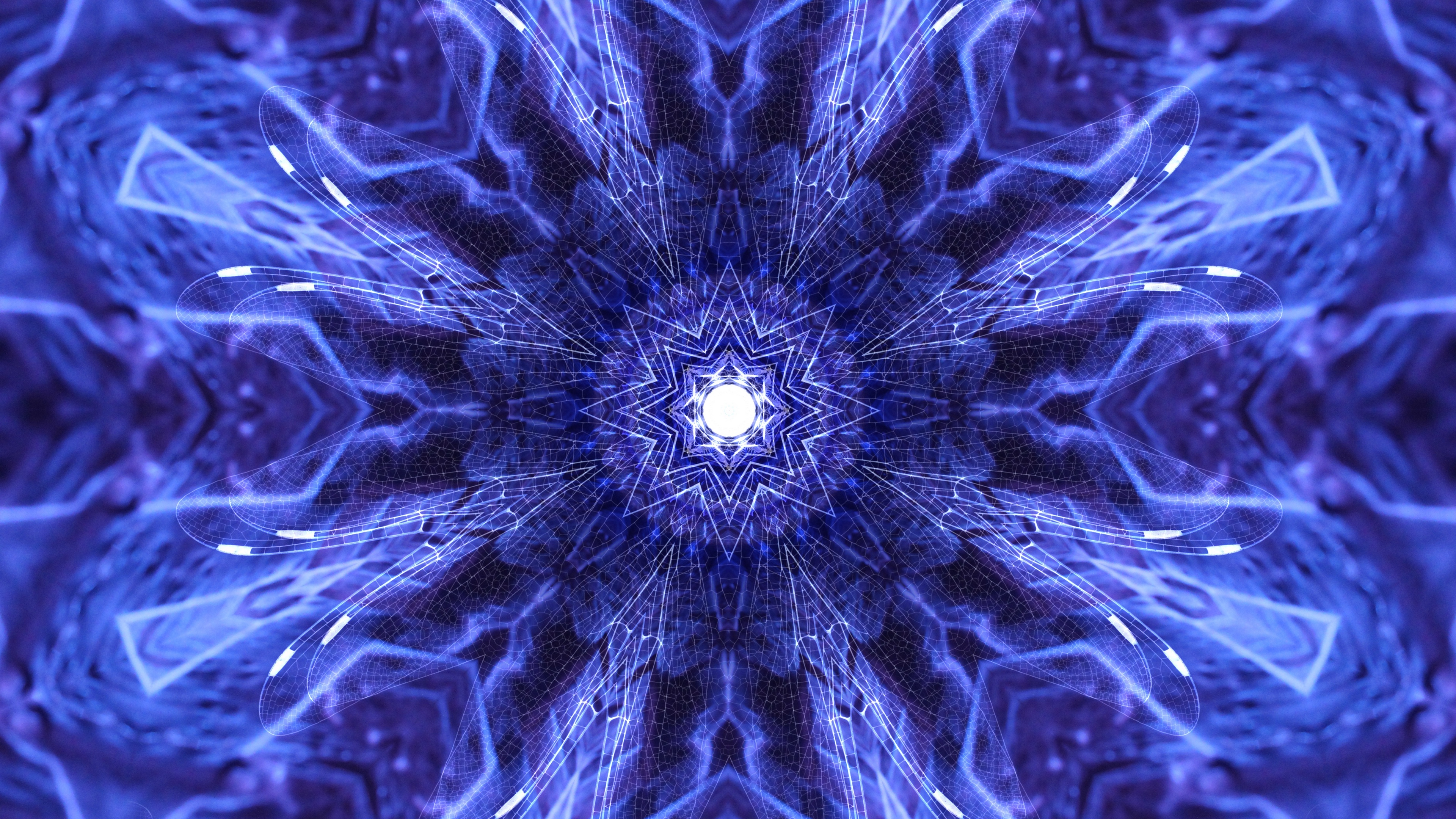 patterns lilac fractal plexus geometric 4k 1539370244