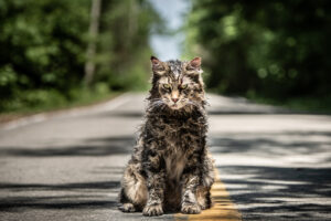 pet sematary movie 2019 1539979679