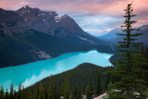 peyto lake canada mountains 4k 1540133145