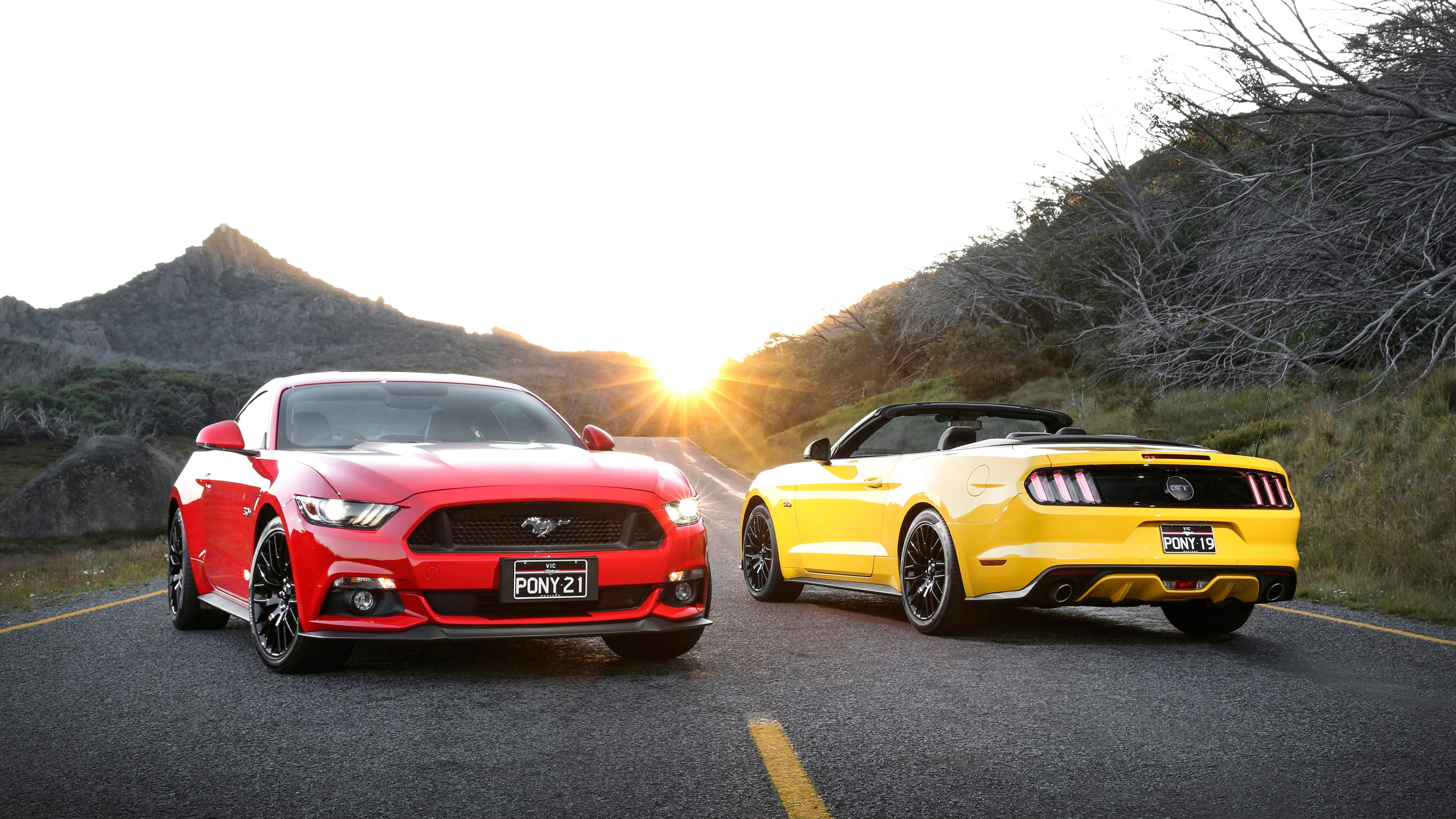 Red Ford Mustang Hd Wallpaper