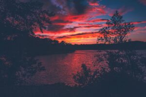 red evening sunset lake view from forest woods 4k 1540142897