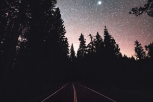 road starry sky night trees marking 4k 1540575777