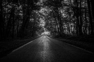 road trees bw dark forest 4k 1540575164