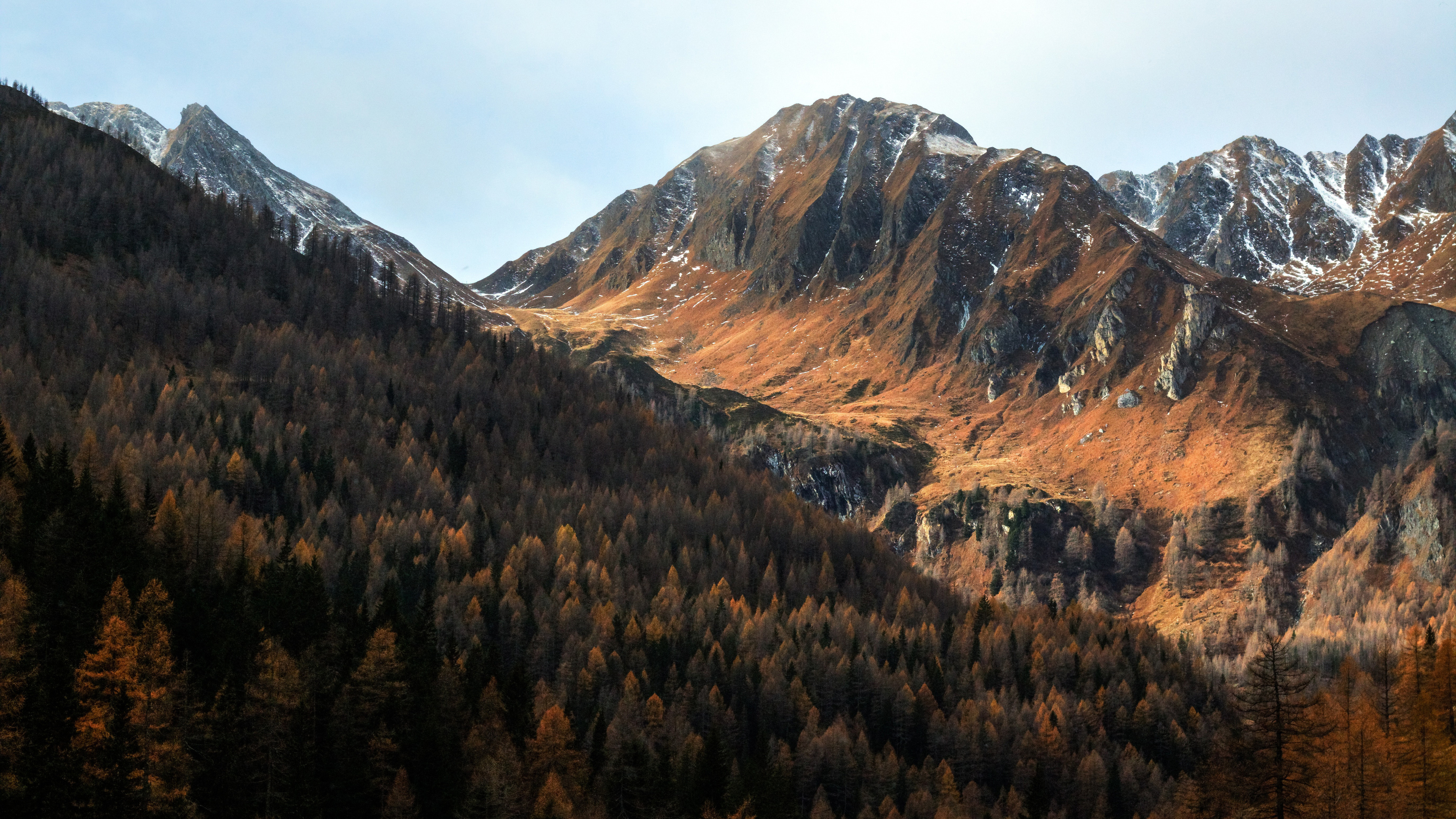 scenic view of the mountains pine tress forest 5k 1540141540