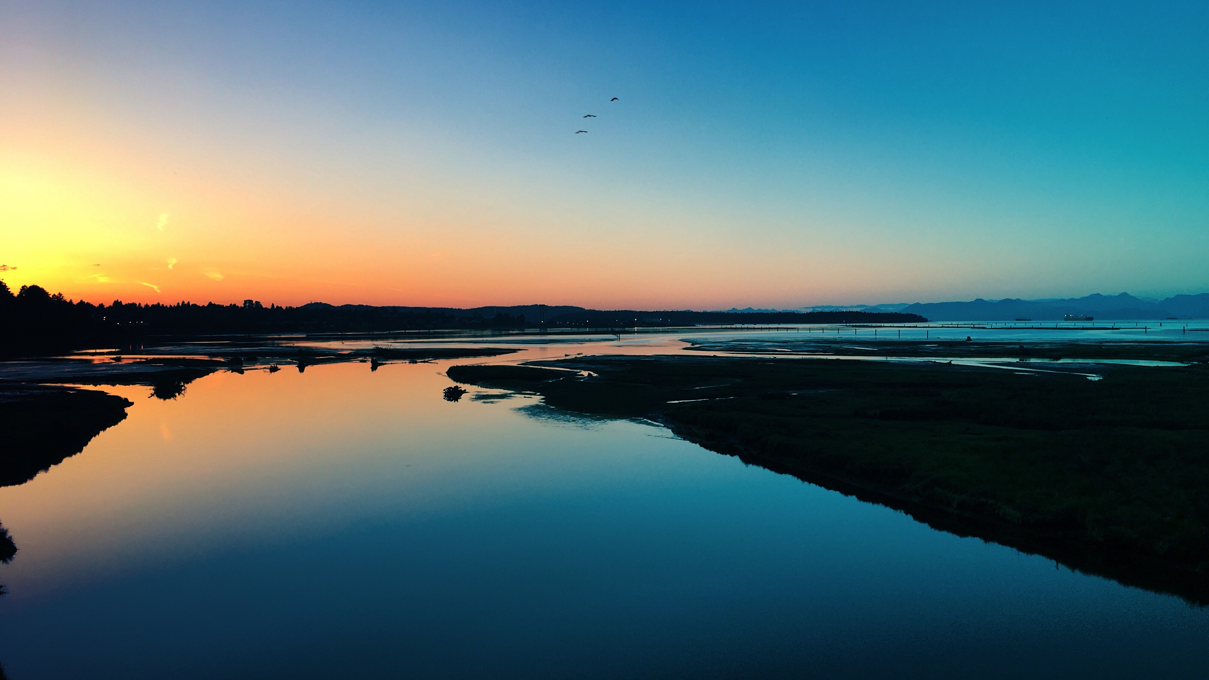 sea sunset shore birds 4k 1540133485