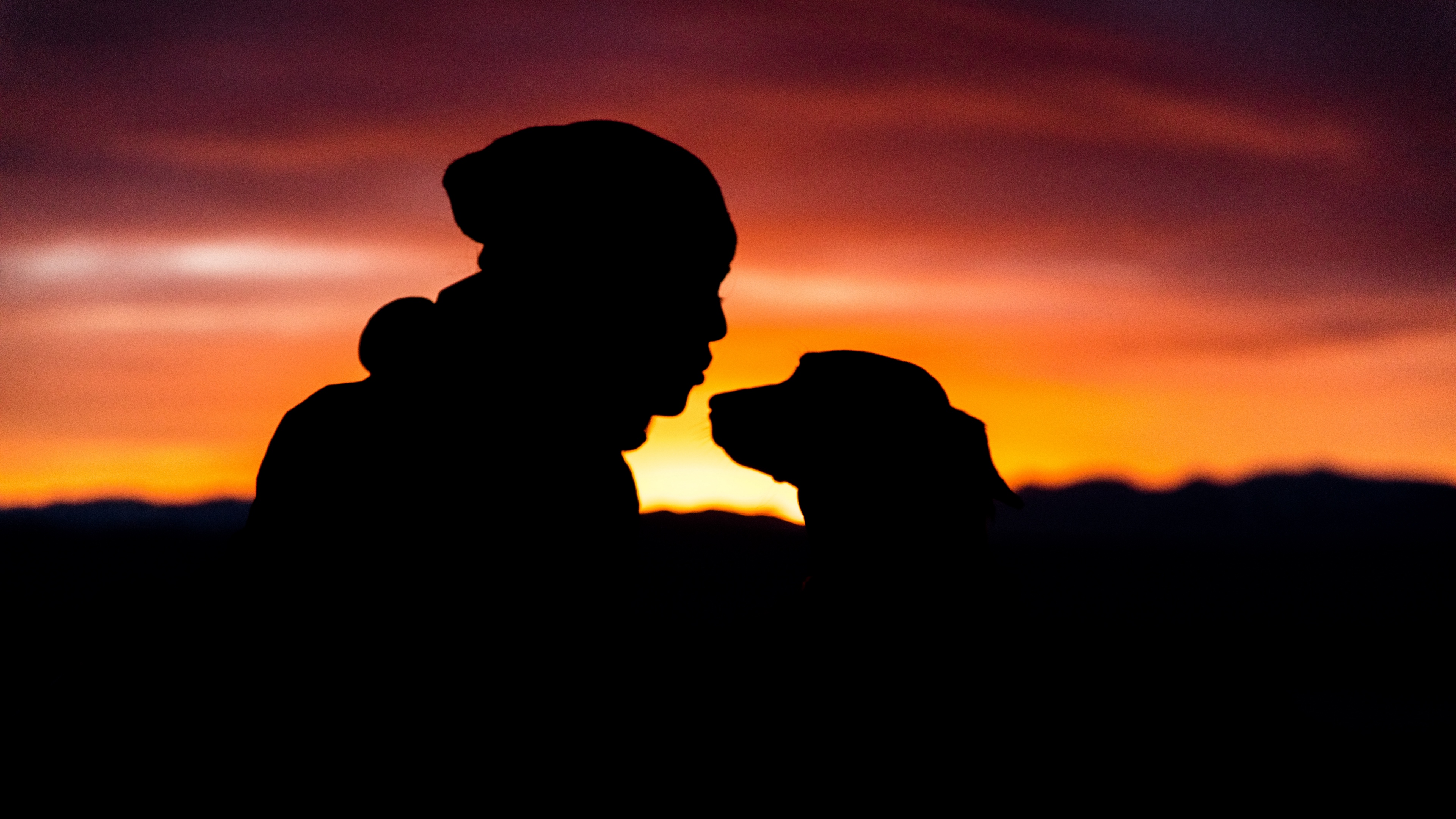 silhouettes person dog 4k 1540574677