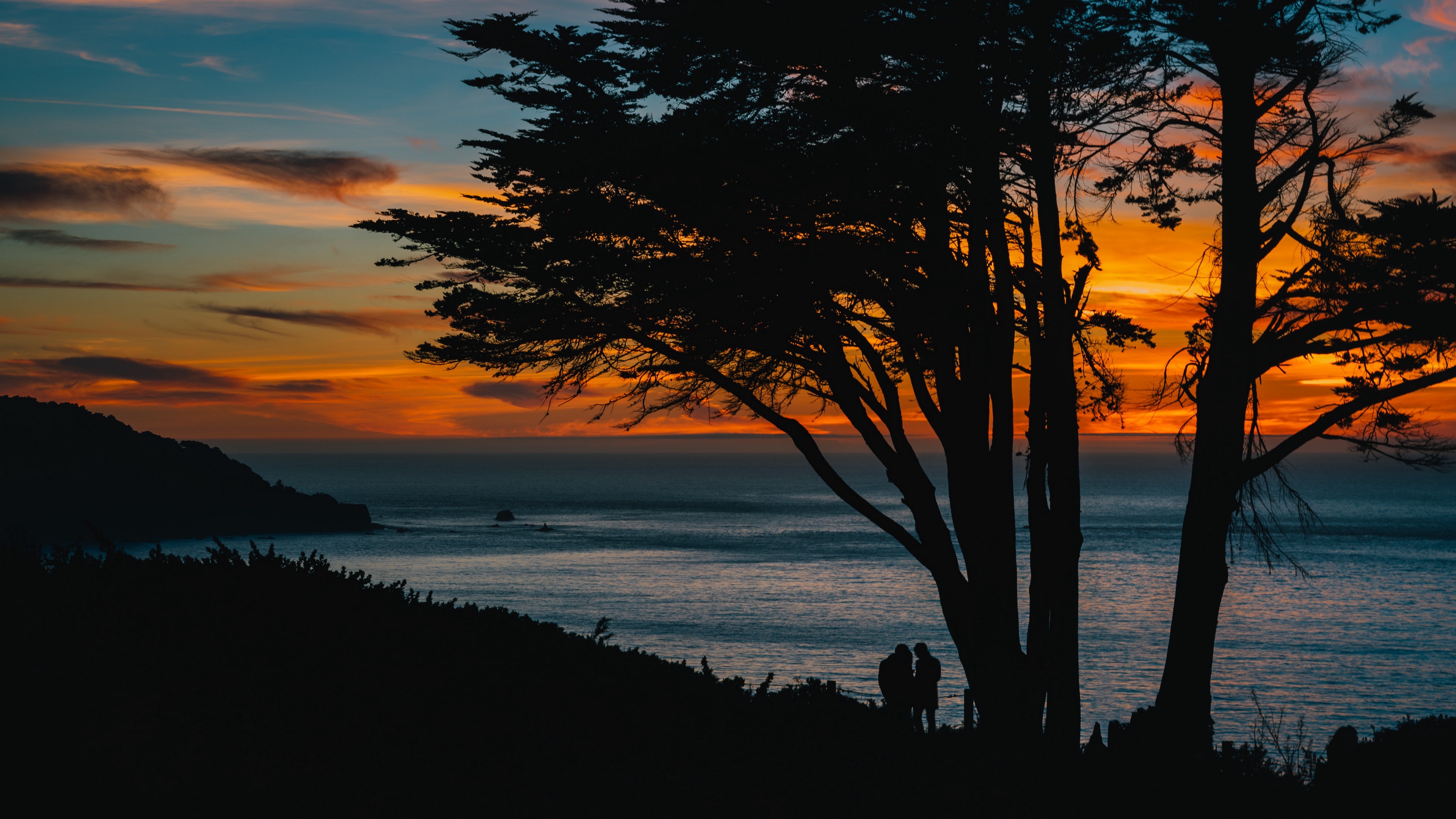 silhouettes sunset tree sea 4k 1540574730