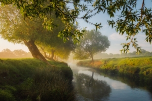 small river trees dreamy 4k 1540142461