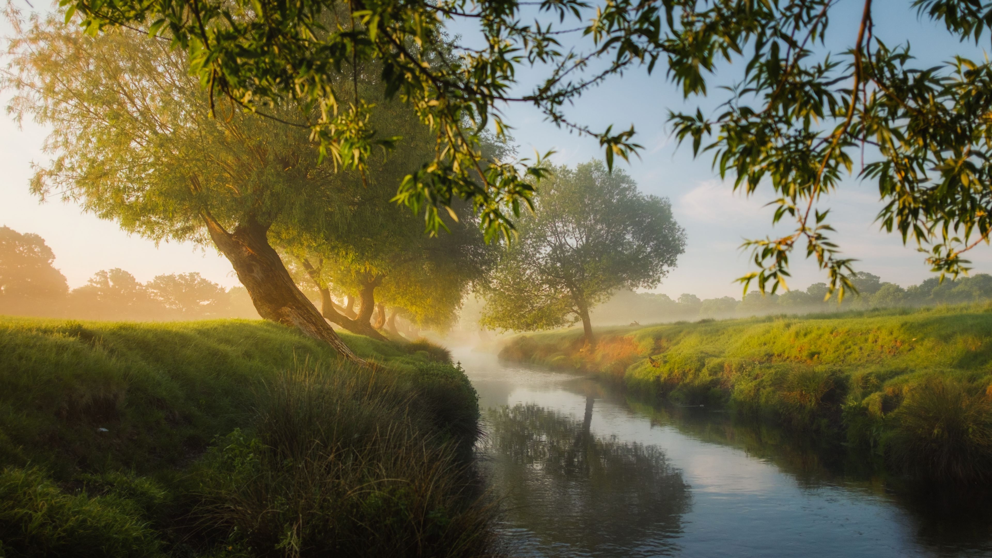 small river trees dreamy 4k 1540142461